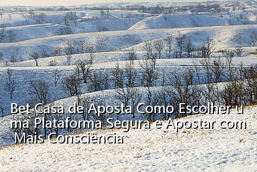 Bet Casa de Aposta Como Escolher uma Plataforma Segura e Apostar com Mais Consciência